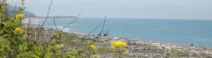 Rocky Point Recreation Area