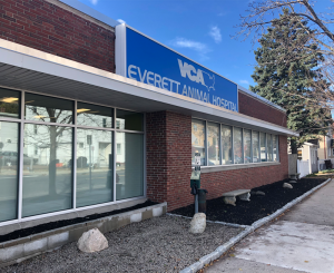 Everett Animal Hospital in Everett, Washington