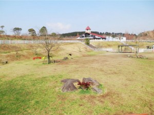 Dog Park in Sasebo, Japan