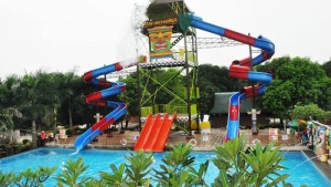 villa alfredos resort