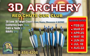 3D Archery