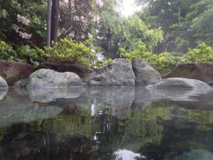 Private hot-spring house in Hakone