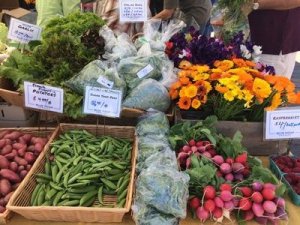 San Juan Island Farmers Market WA-beans