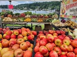 The Waterfront Farmers Market-apple