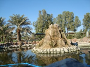 Al Areen Wildlife in Bahrain