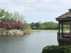 Twin Lakes