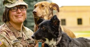 Pet Transportation Assistance in Catania, Italy