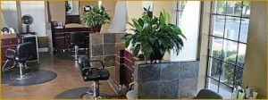 Image Salon &amp; Day Spa Yuba- Beale AFB- chairs