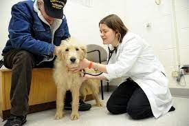 Veterinary Treatment Facility - Ellsworth AFB=dog Veterinary Treatment Facility - Ellsworth AFB=dog
