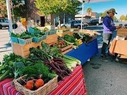 Sequim Farmers &amp; Artisans Market-kale
