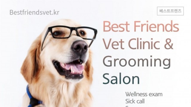 Best Friends Veterinary Clinic and Grooming Salon - Osan Air Base