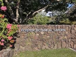 Foster Botanical Garden