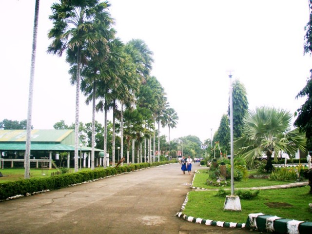 Bingawan