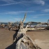 Florida Travel: Welcome to Atlantic Beach &amp; the Talbot Island State Parks