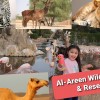 Al-Areen Wildlife Park &amp; Reserve - Bahrain | Bahrain Life |