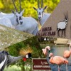 Al Areen Wildlife Park &amp; Reserve 🦁🐯 Bahrain Zoo 2020 #BahrainZoo