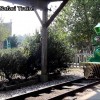 The Gulf Breeze Zoo~ Family Fun in Pensacola!