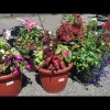 Steilacoom Farmers&#039; Market 2020