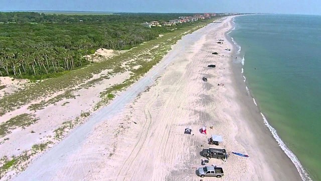 Amelia Island State Park