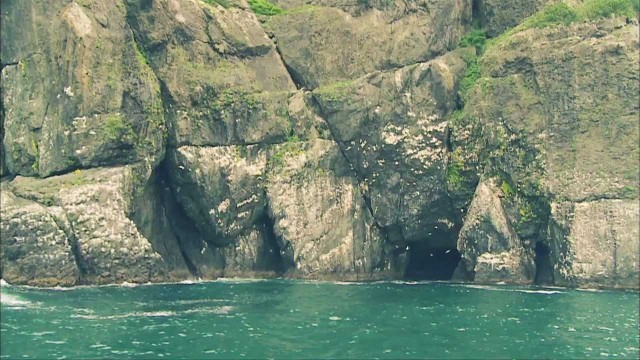Kenai Fjords National Park