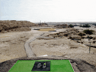 AwaliGolfTee 23 1385828446